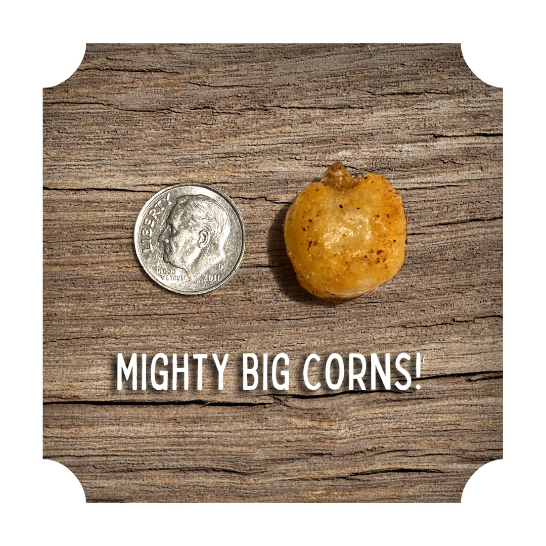 Rufus Teague Crunchin' Corn - Hot Honey (6 oz)
