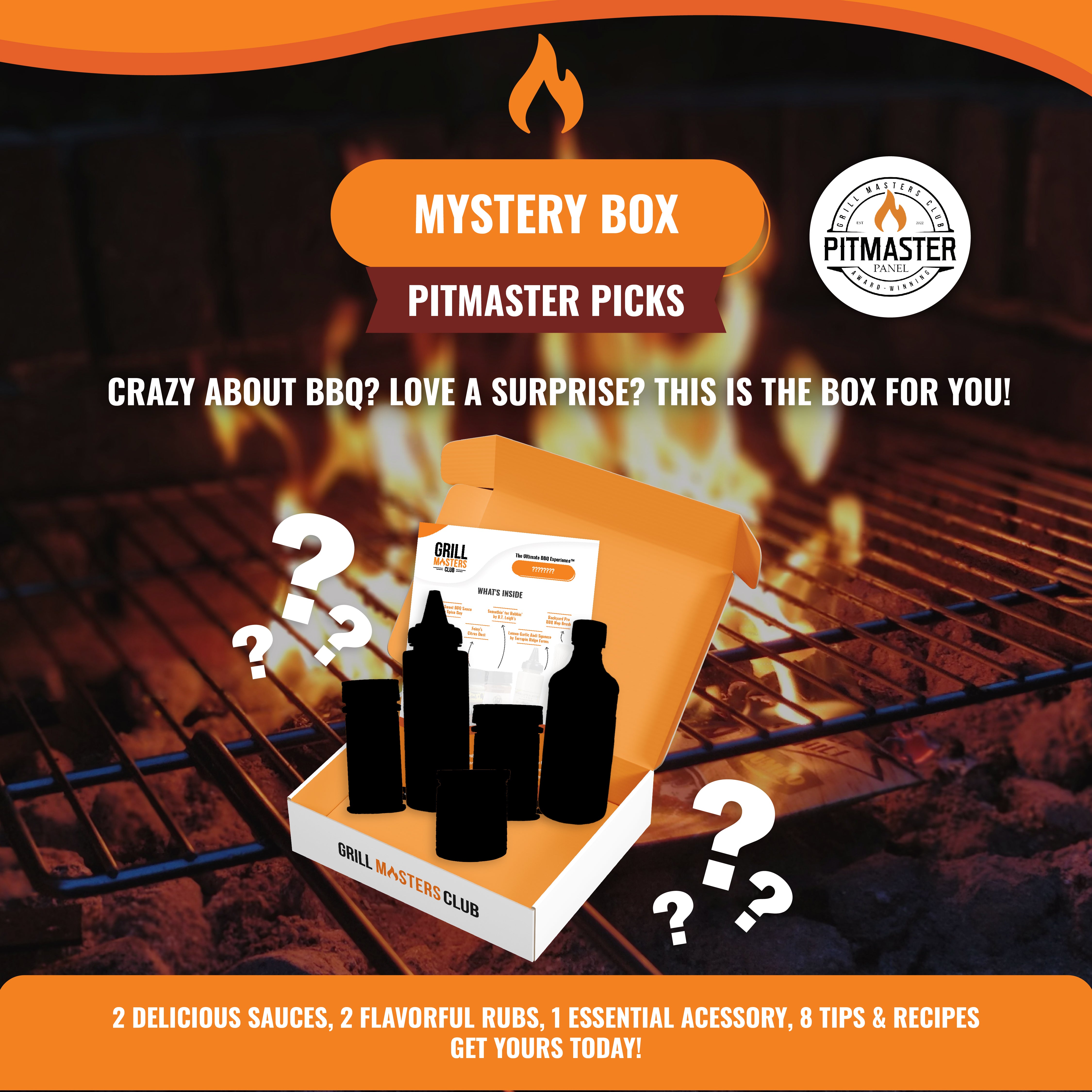 Mystery Grilling & BBQ Box: Sauces, Rubs, Tools + Recipes